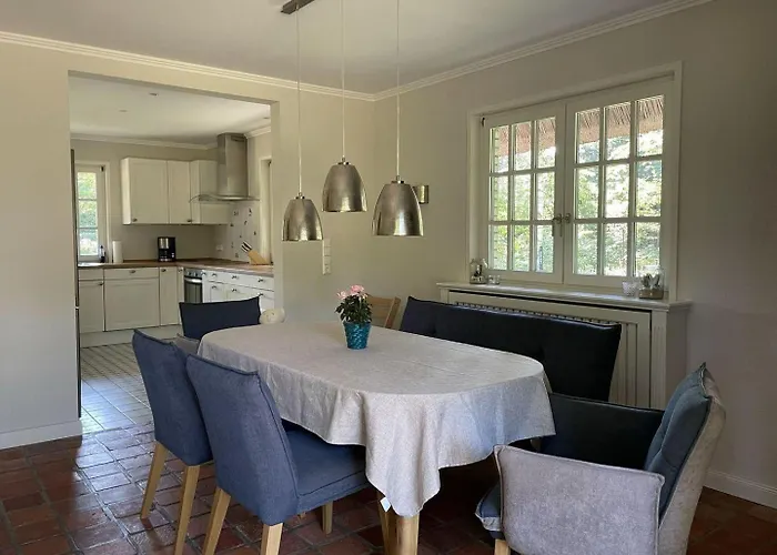 Haus-seemoewe * Suddorf