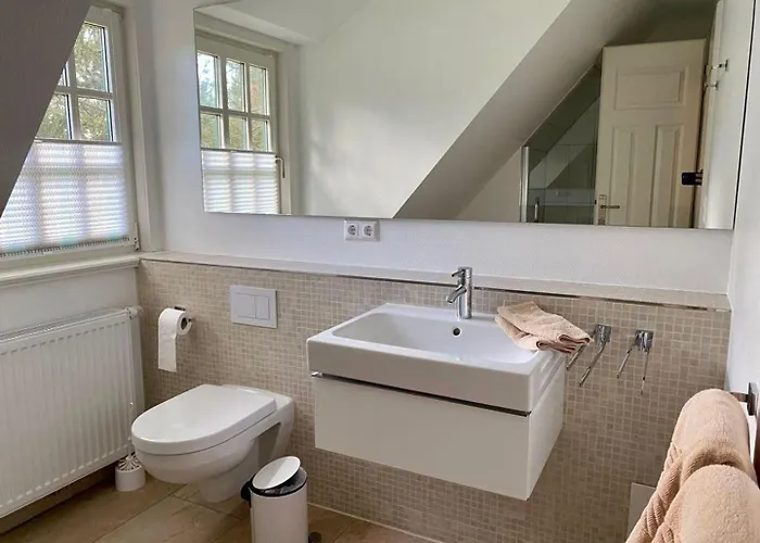 Haus-seemoewe Suddorf