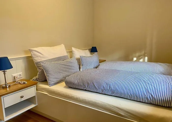 Haus-seemoewe Suddorf